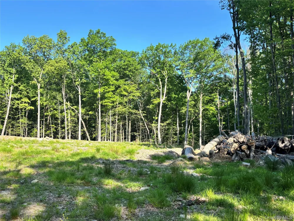 South Plank Road Westtown, NY 10998
