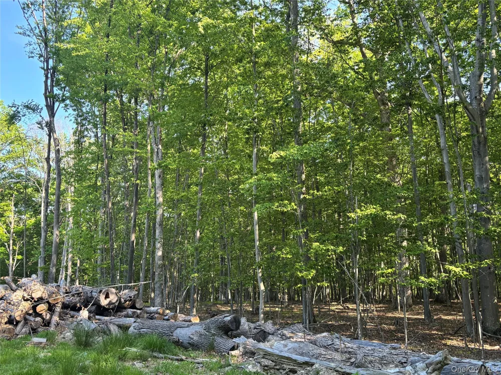 South Plank Road Westtown, NY 10998