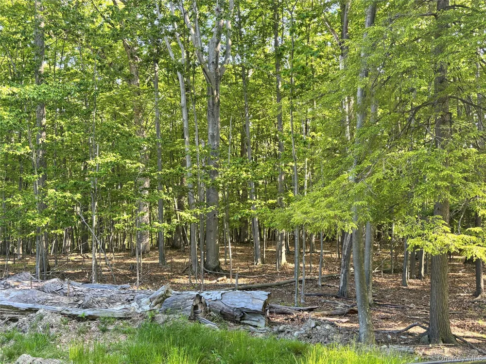 South Plank Road Westtown, NY 10998