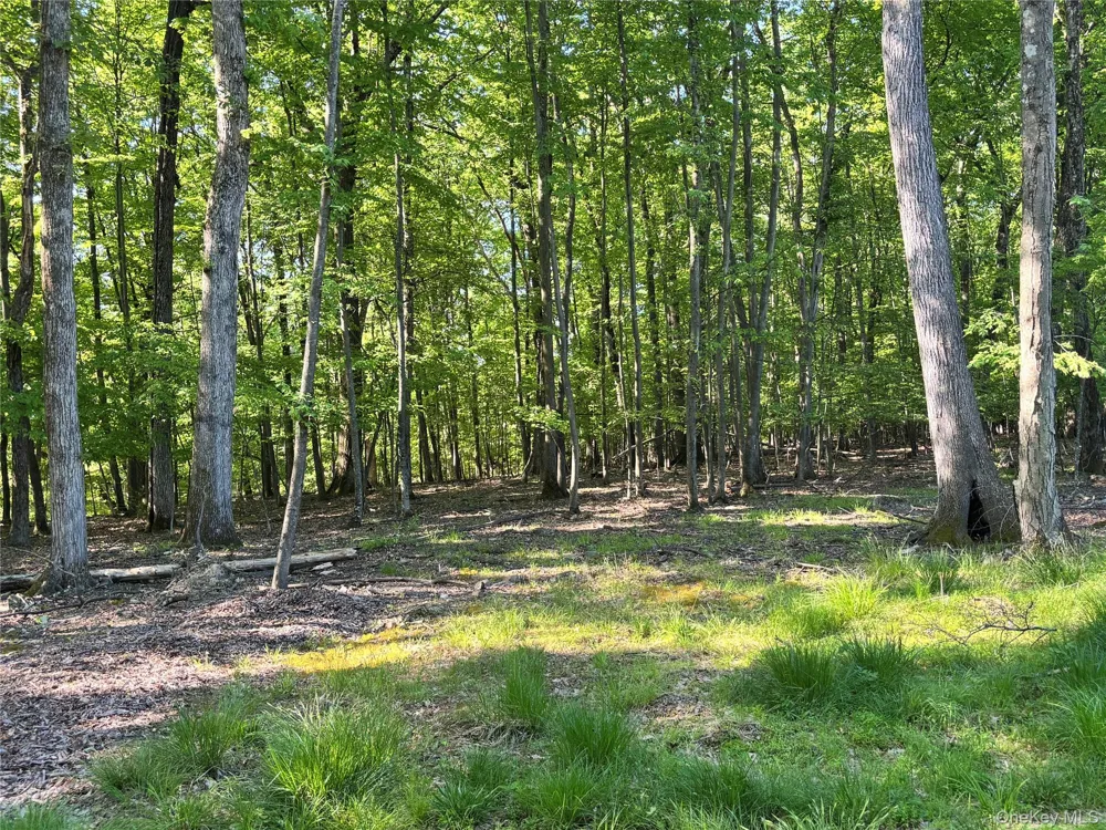 South Plank Road Westtown, NY 10998