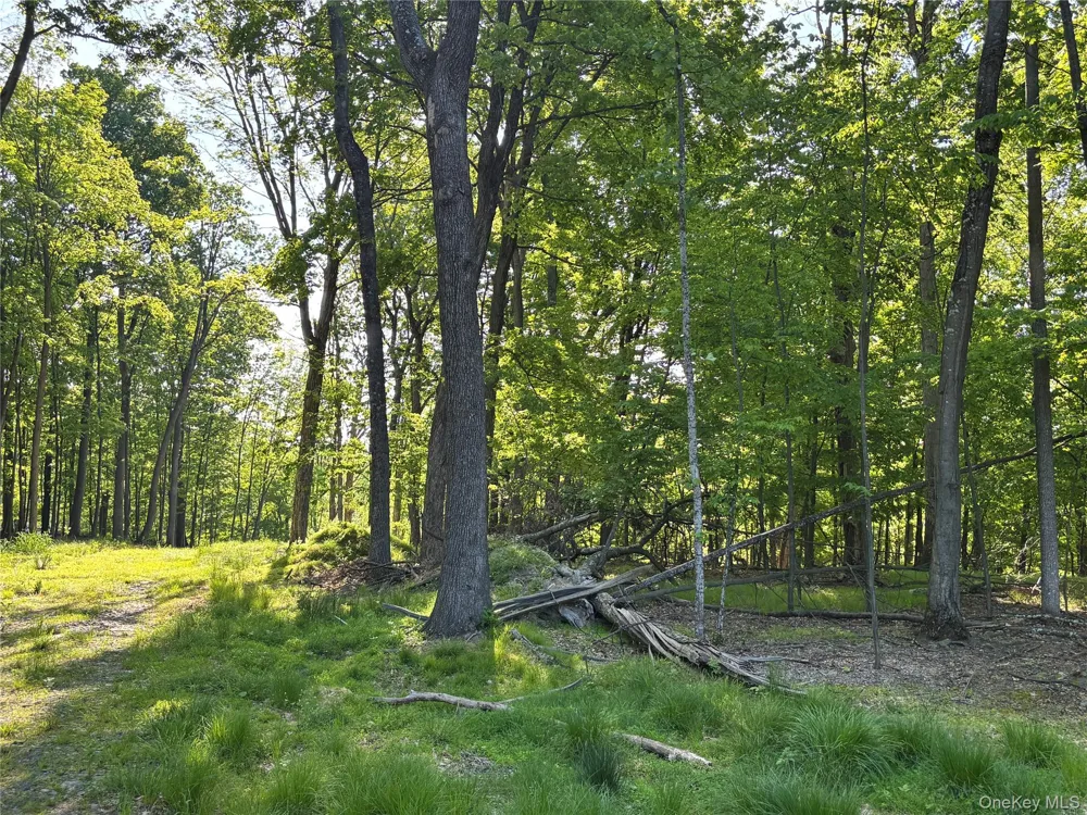 South Plank Road Westtown, NY 10998