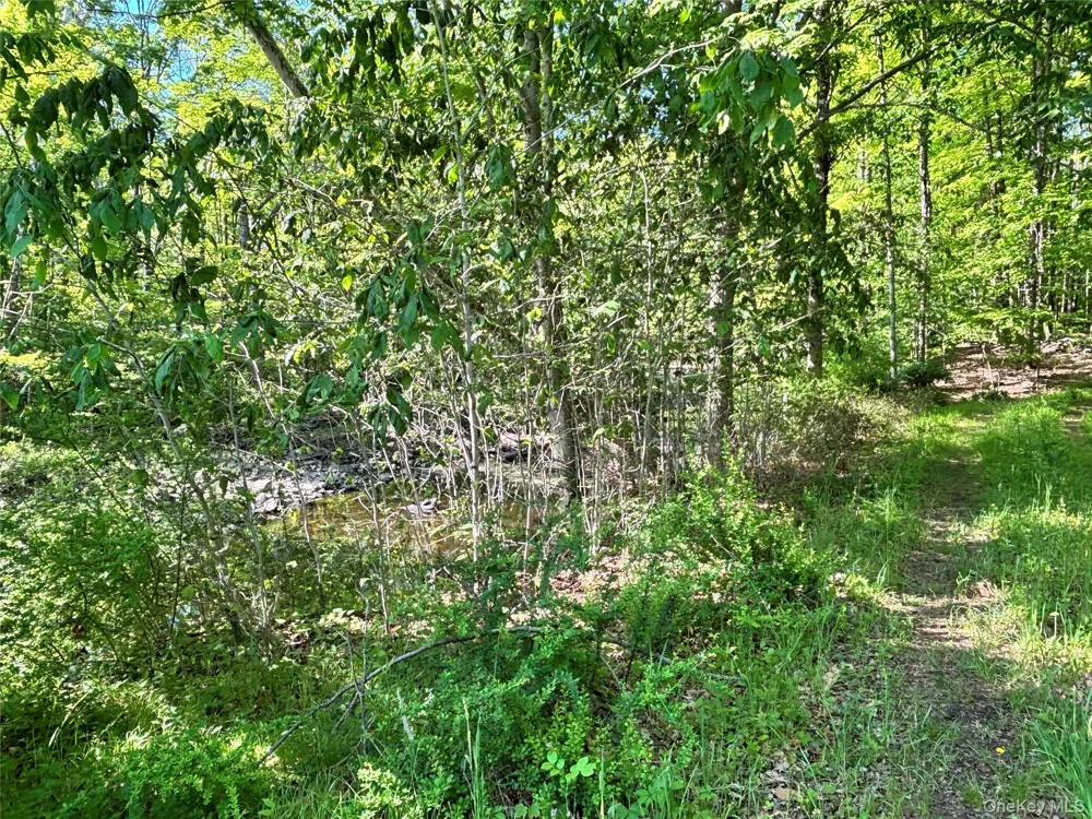 South Plank Road Westtown, NY 10998