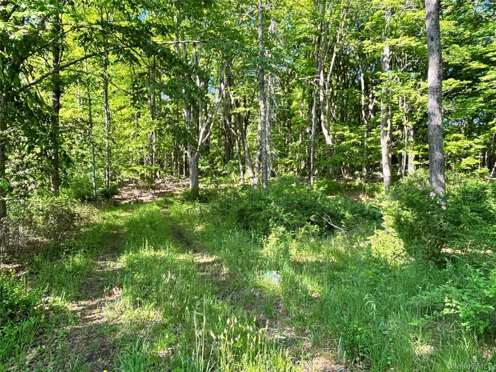 South Plank Road Westtown, NY 10998