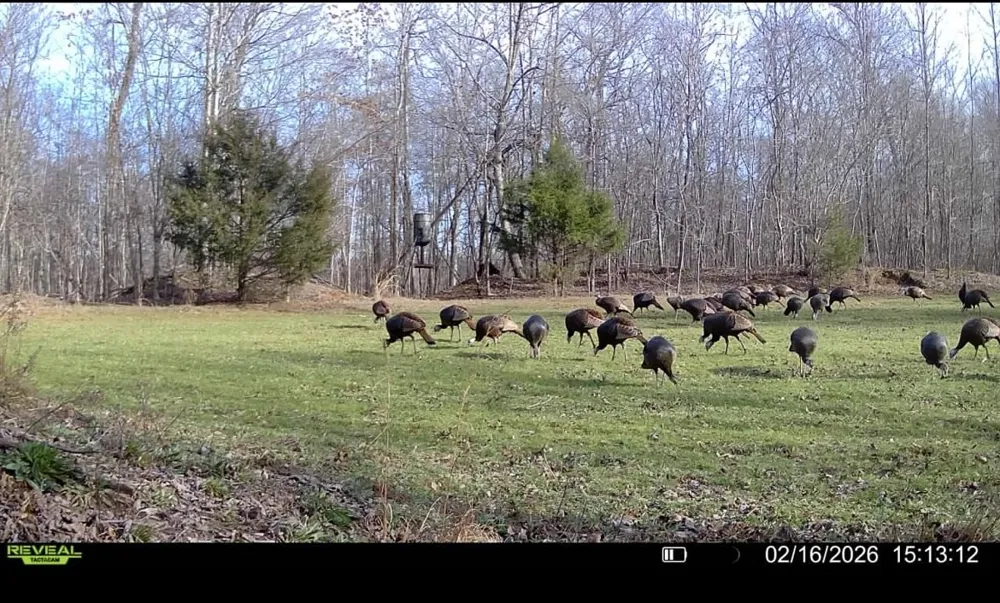 0 Bunches Chapel Road Parsons, TN 38363
