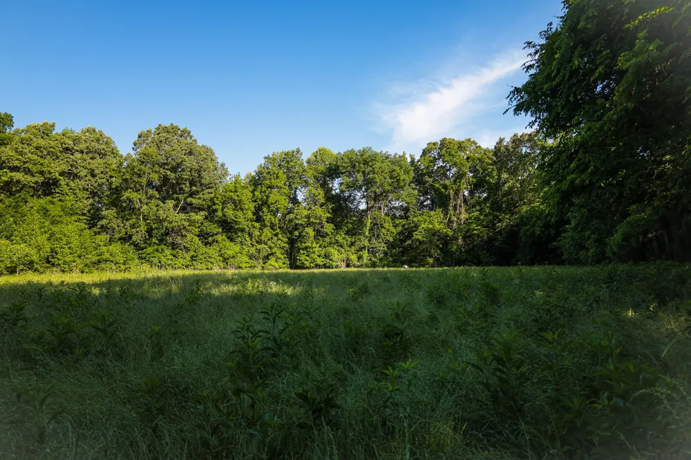 0 Bunches Chapel Road Parsons, TN 38363