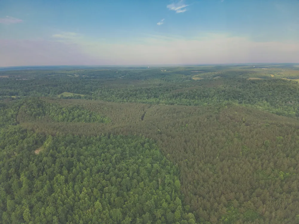 0 Bunches Chapel Road Parsons, TN 38363