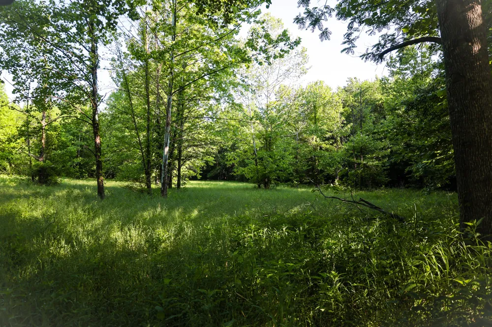 0 Bunches Chapel Road Parsons, TN 38363