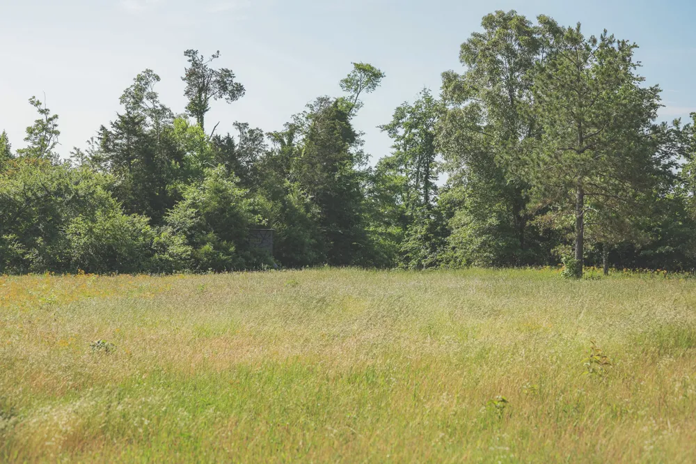 0 Bunches Chapel Road Parsons, TN 38363