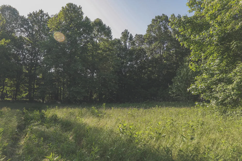 0 Bunches Chapel Road Parsons, TN 38363