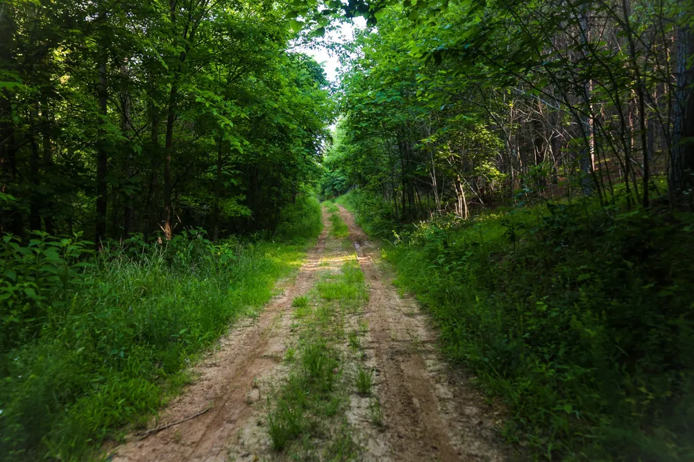 0 Bunches Chapel Road Parsons, TN 38363