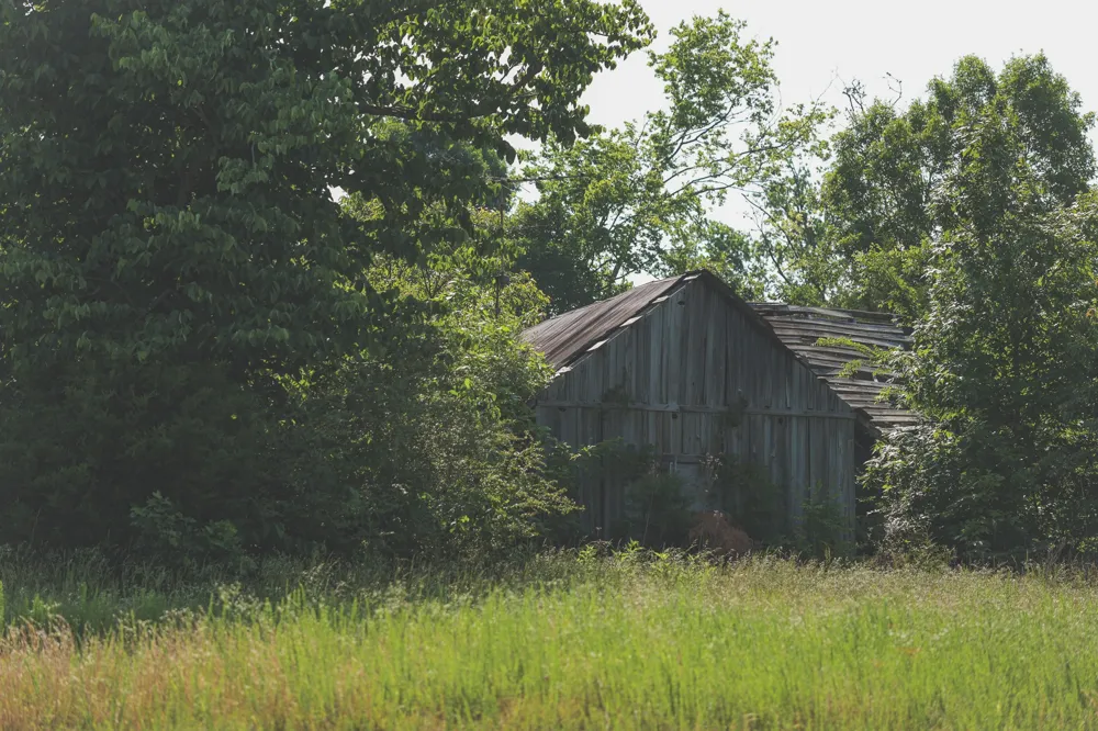 0 Bunches Chapel Road Parsons, TN 38363