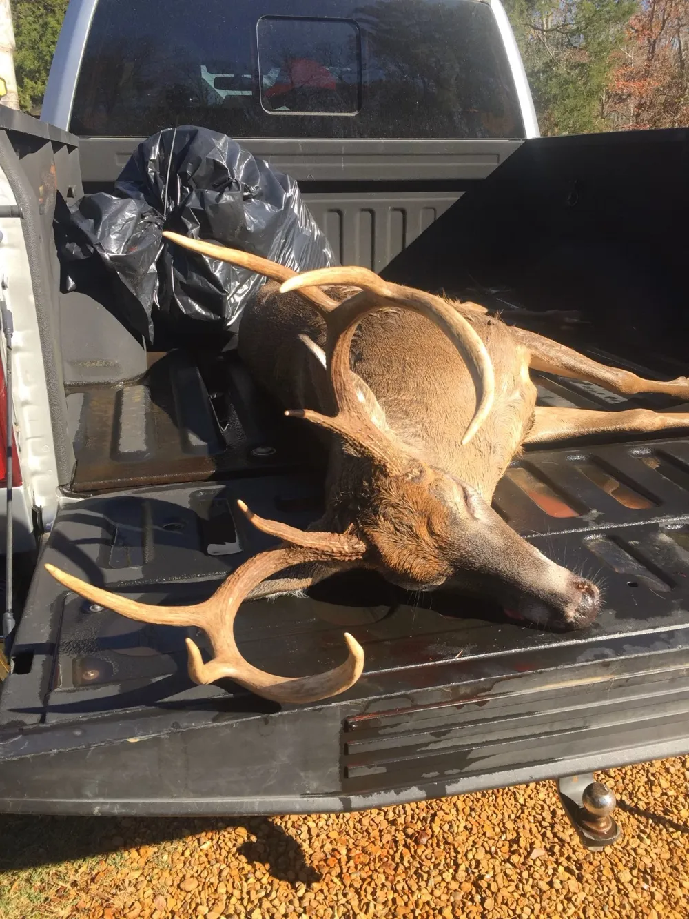 0 Bunches Chapel Road Parsons, TN 38363