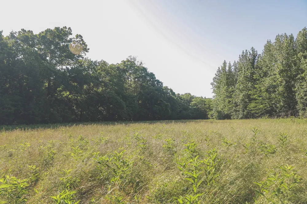0 Bunches Chapel Road Parsons, TN 38363