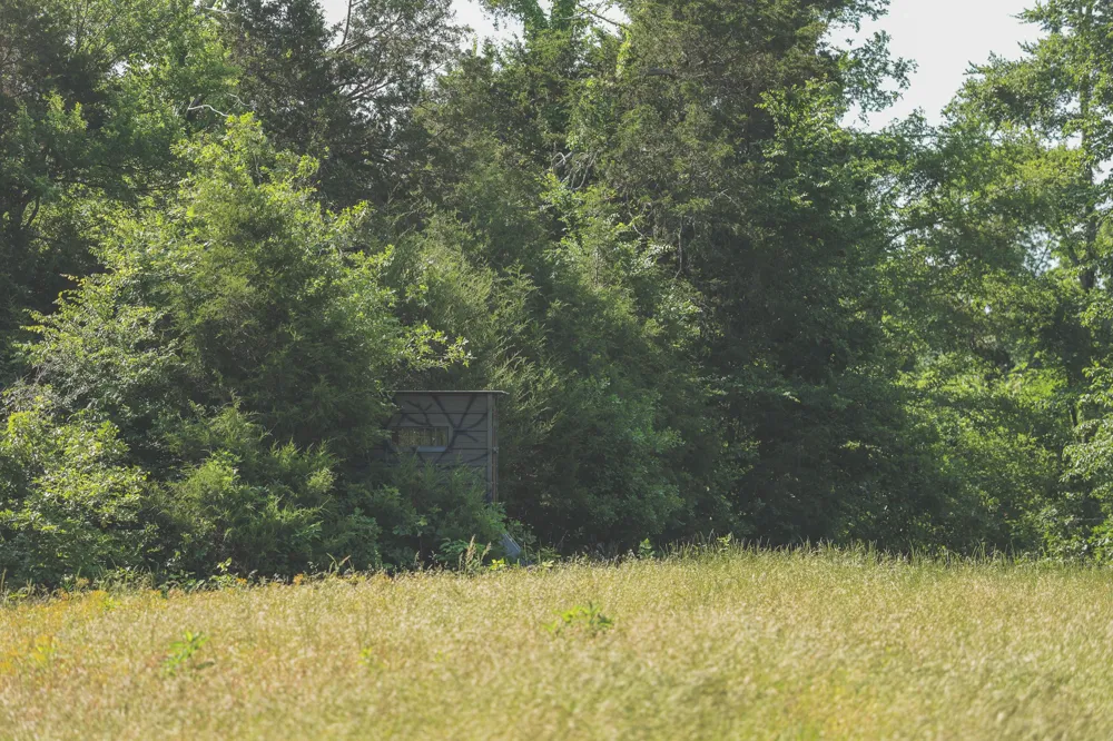 0 Bunches Chapel Road Parsons, TN 38363