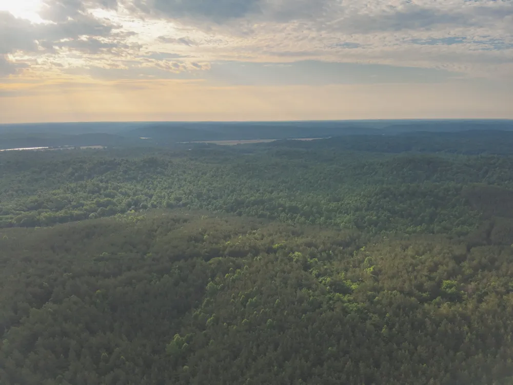 0 Bunches Chapel Road Parsons, TN 38363