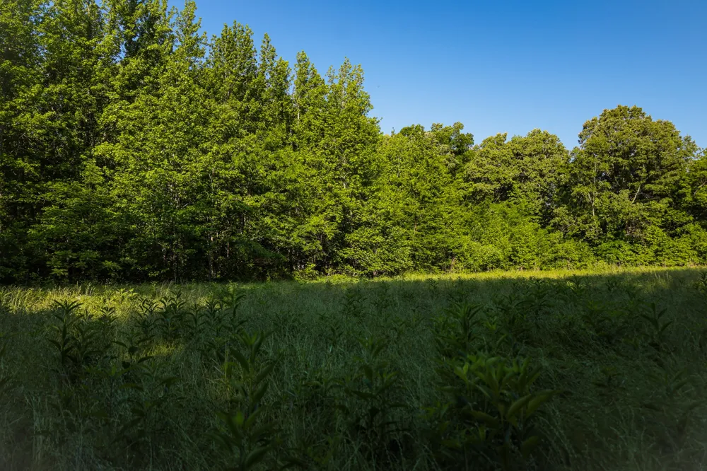 0 Bunches Chapel Road Parsons, TN 38363