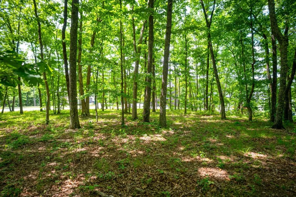 4562 Amethyst Road Chattanooga, TN 37419