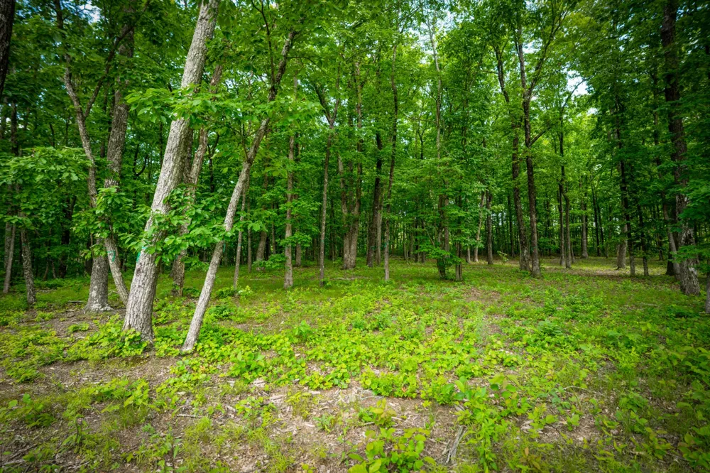 4562 Amethyst Road Chattanooga, TN 37419