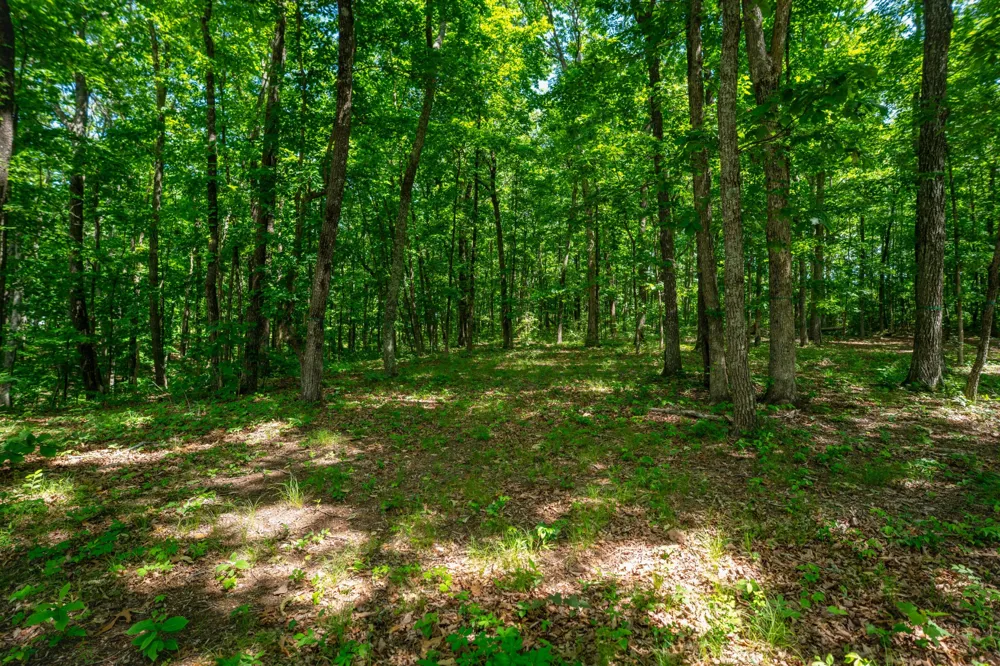 4562 Amethyst Road Chattanooga, TN 37419