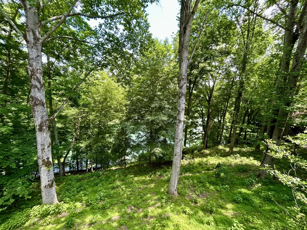 331 Huffman Park Rd Lynchburg, TN 37352