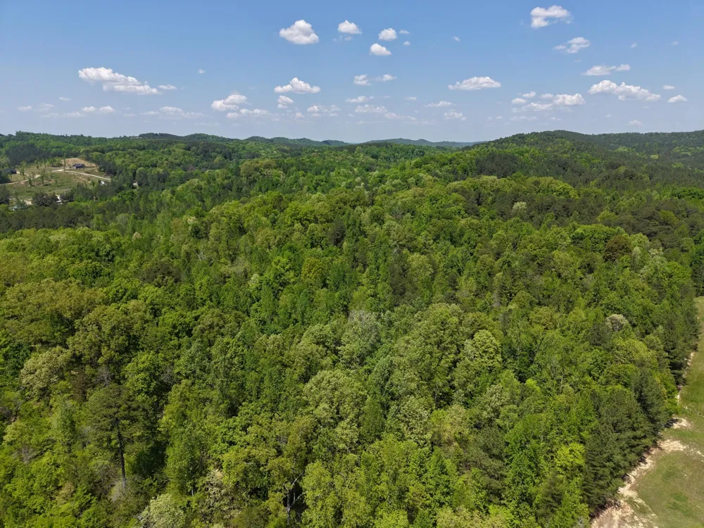 0 Jim Black Drive Old Fort, TN 37362