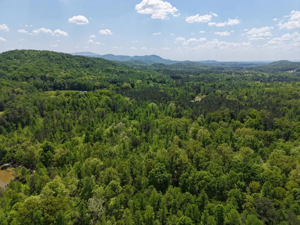 0 Jim Black Drive Old Fort, TN 37362