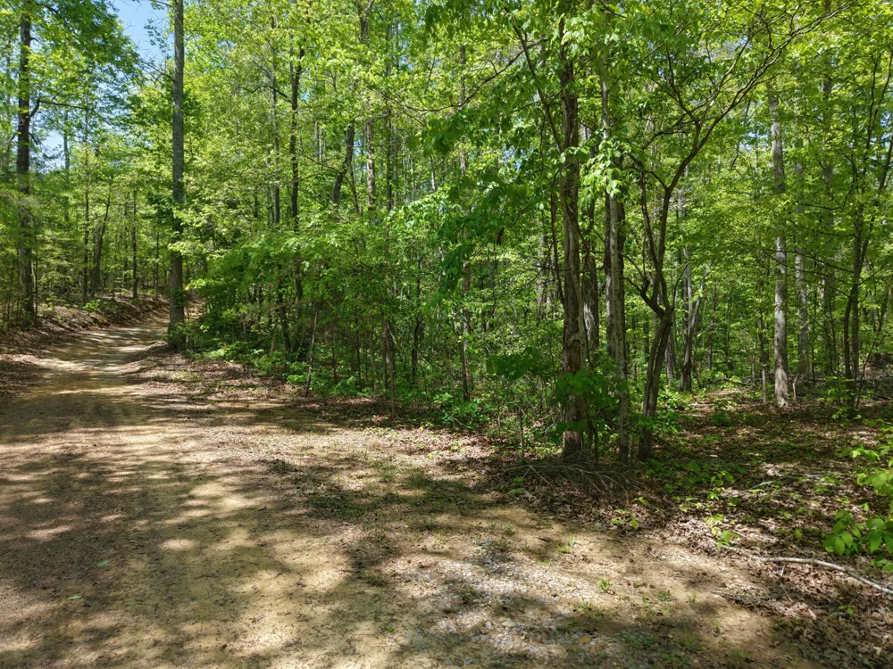 0 Jim Black Drive Old Fort, TN 37362