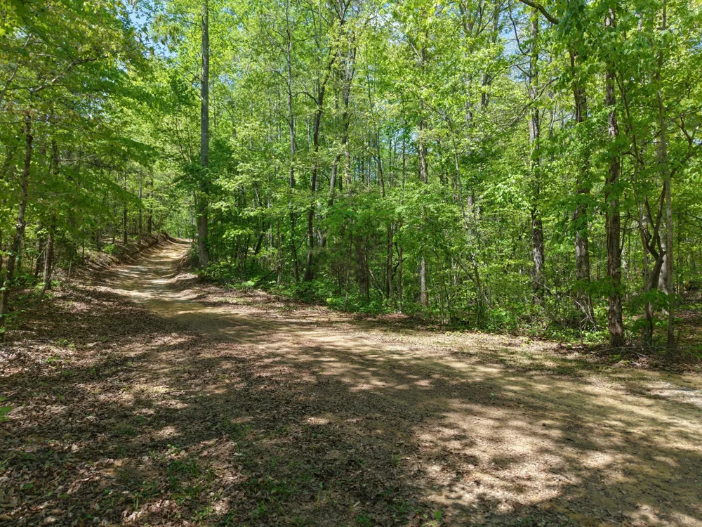 0 Jim Black Drive Old Fort, TN 37362