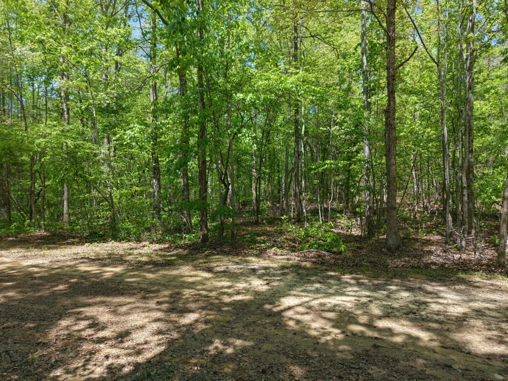0 Jim Black Drive Old Fort, TN 37362