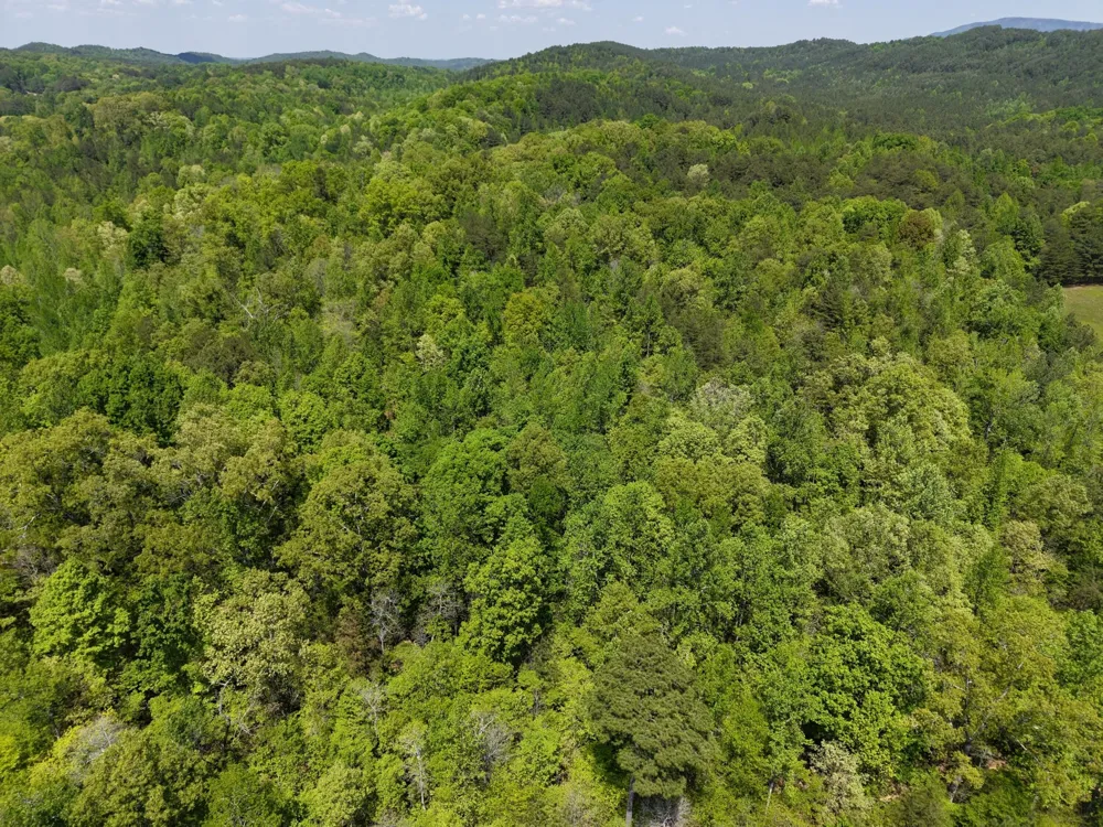 0 Jim Black Drive Old Fort, TN 37362