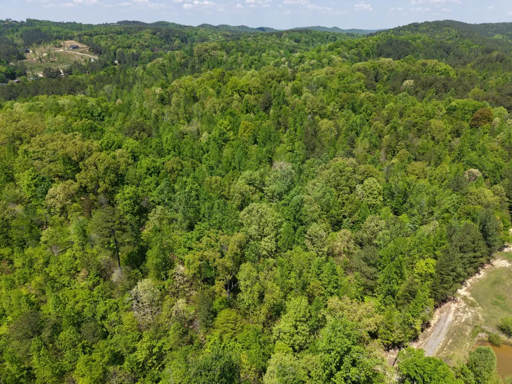 0 Jim Black Drive Old Fort, TN 37362
