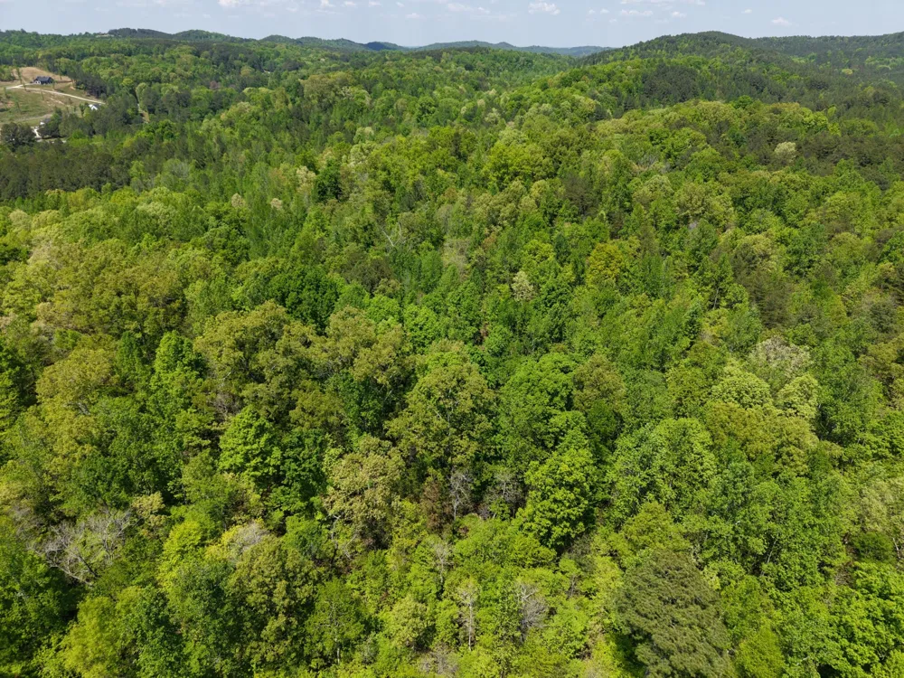 0 Jim Black Drive Old Fort, TN 37362
