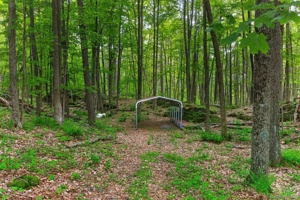 101 Tuytenbridge Road Lake Katrine, NY 12449