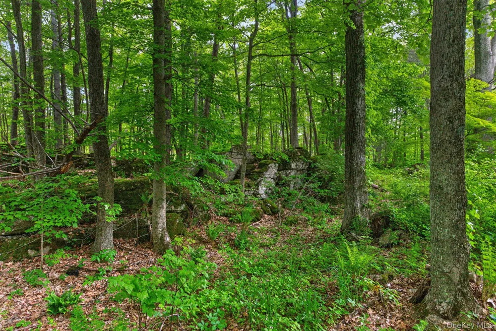 101 Tuytenbridge Road Lake Katrine, NY 12449