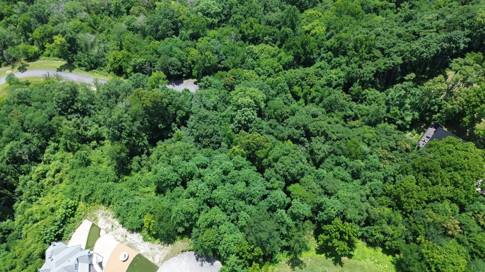0 Shayna Ct Smithville, TN 37166