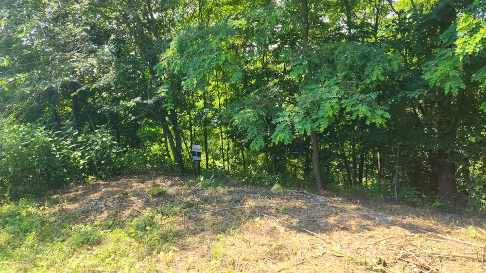 0 Shayna Ct Smithville, TN 37166