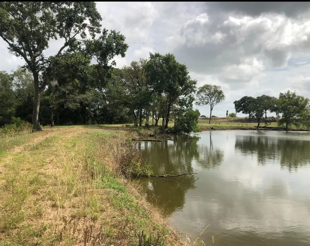 25923 Nelson Road Hempstead, TX 77445