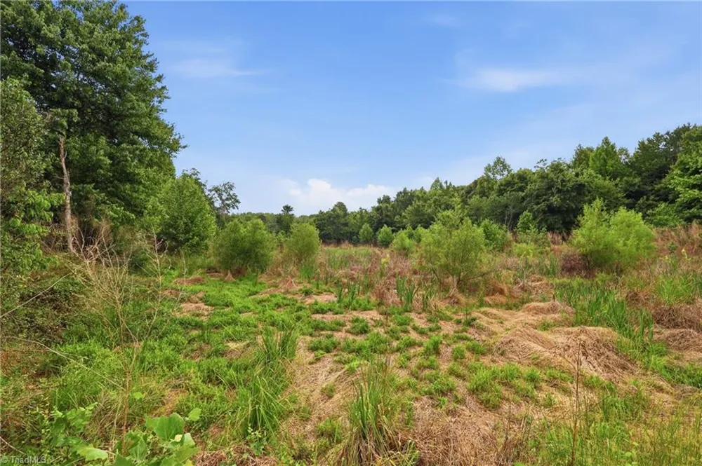 3228 Jidemi Road Greensboro, NC 27406