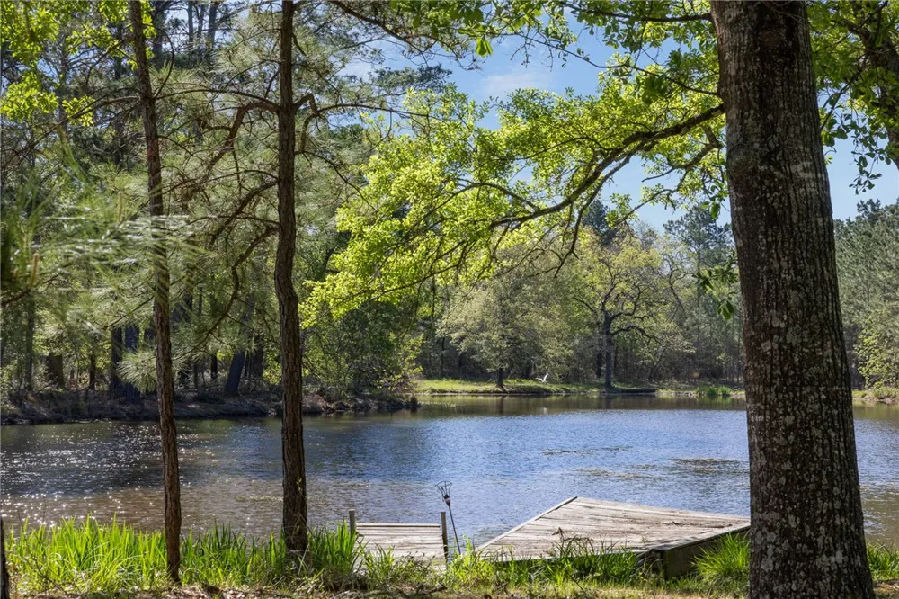 3702 County Road 151 Bedias, TX 77831