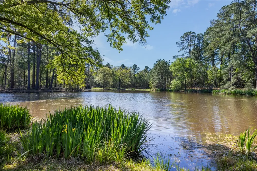 3702 County Road 151 Bedias, TX 77831