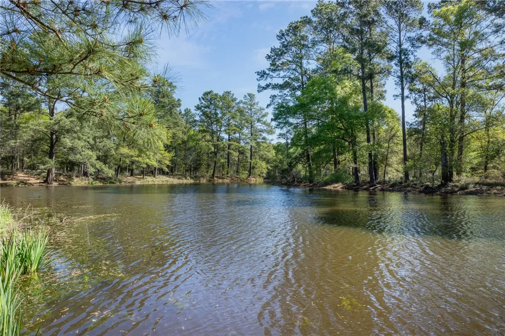3702 County Road 151 Bedias, TX 77831