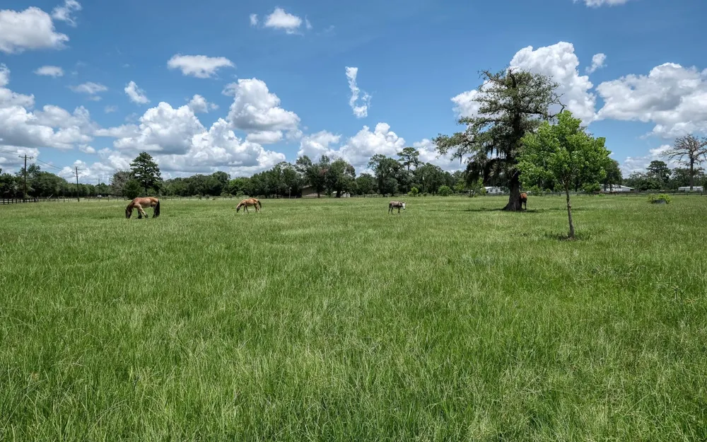 1560 Bowler Road Waller, TX 77484