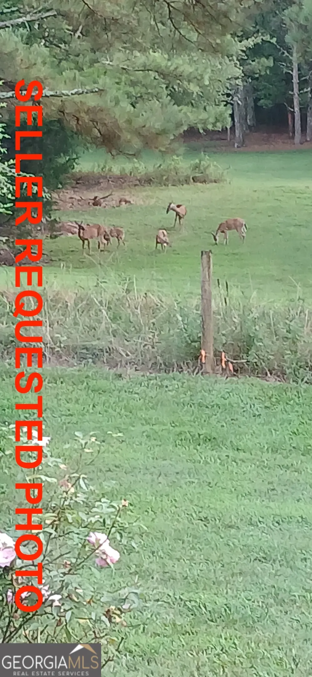 1593 Old Alabama RD Taylorsville, GA 30178