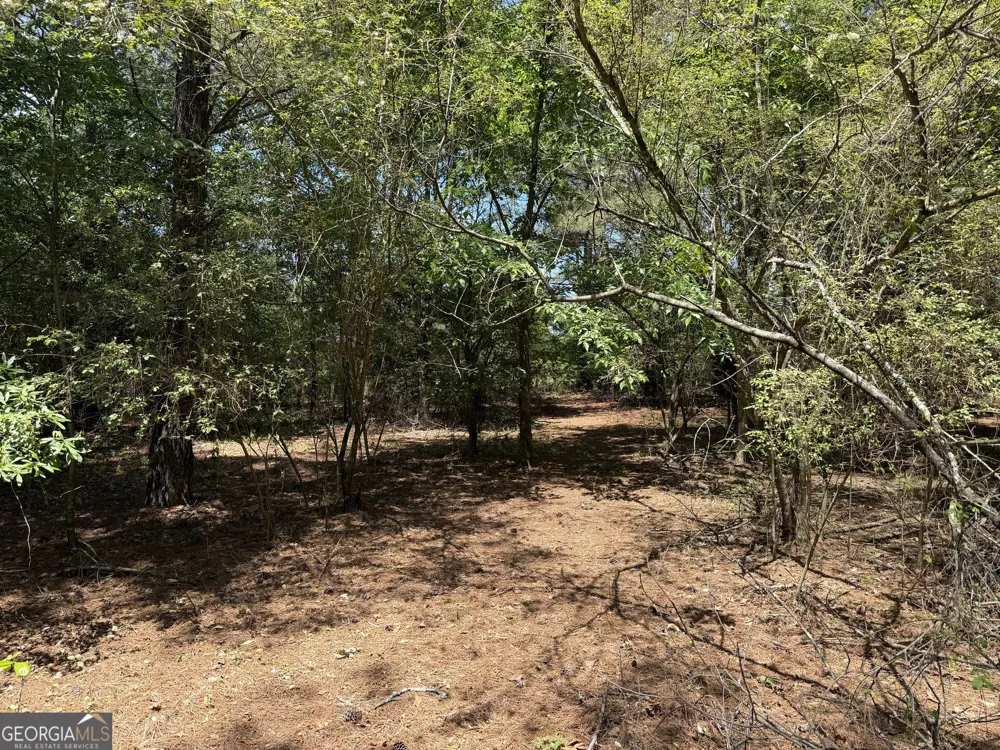 1593 Old Alabama RD Taylorsville, GA 30178
