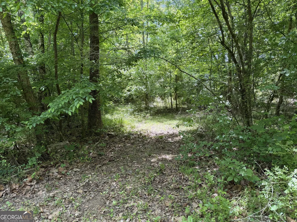 1593 Old Alabama RD Taylorsville, GA 30178
