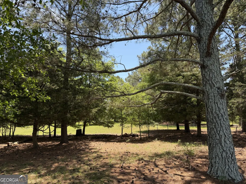 1593 Old Alabama RD Taylorsville, GA 30178