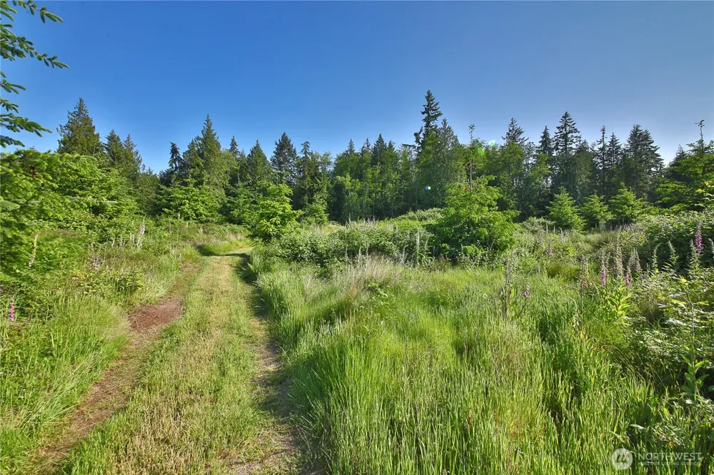 2062 Goodell Road Freeland, WA 98249