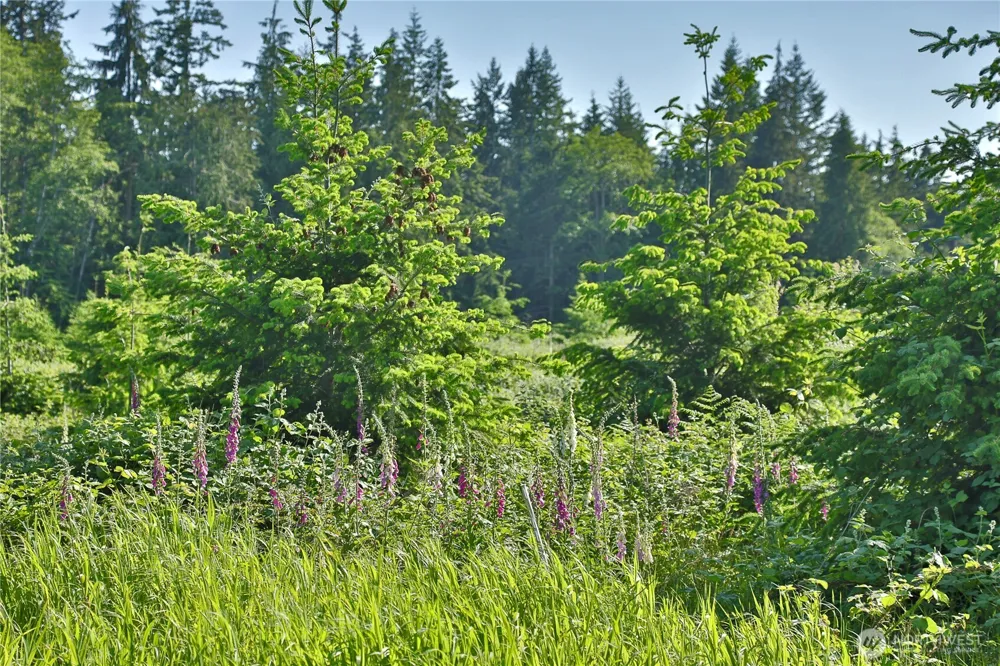 2062 Goodell Road Freeland, WA 98249