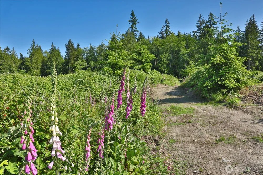 2062 Goodell Road Freeland, WA 98249