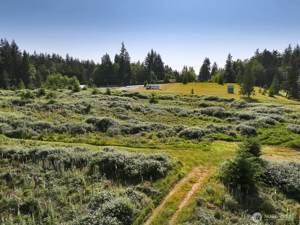 2062 Goodell Road Freeland, WA 98249
